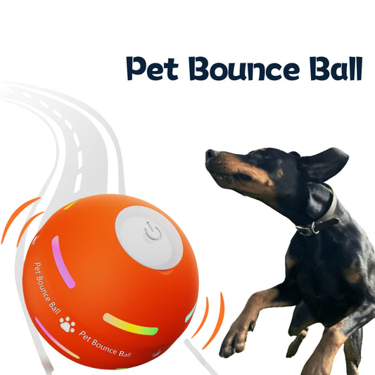 LASY DAY SALE 50% OFF - Pet Bounce Ball